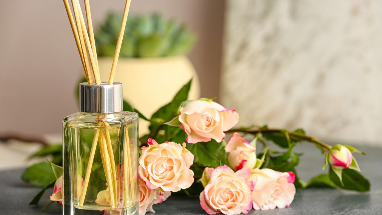 6 Things You Should Know About Reed Diffusers